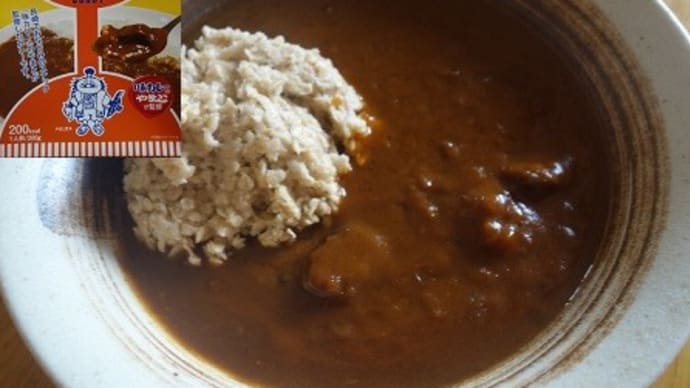 味カレーのやまとが監修 やまとのレトルトカレー