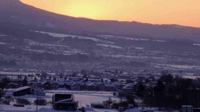 田舎の馬さん