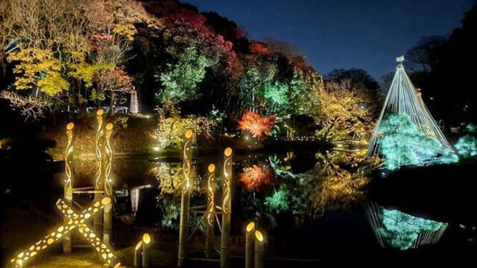 肥後細川庭園 秋の紅葉ライトアップ～ひごあかり～