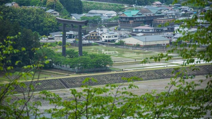 2023.5.6　七越森林公園（和歌山県田辺市本宮町高山）