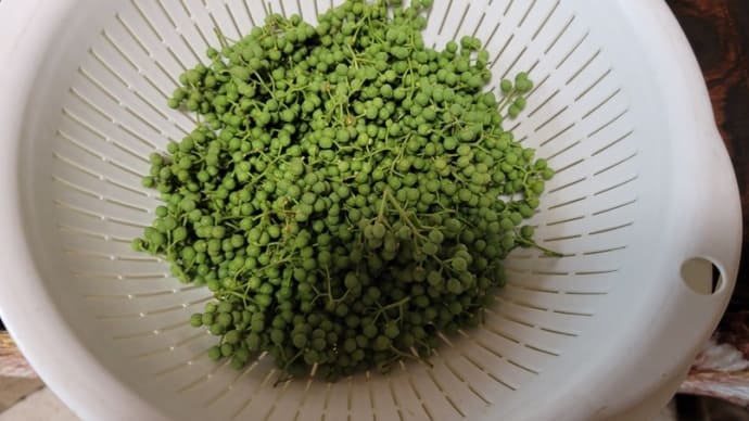 実山椒・・・