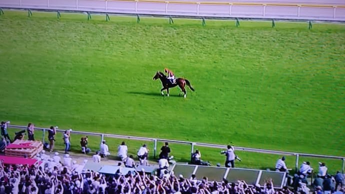 競馬場の新しいマナー