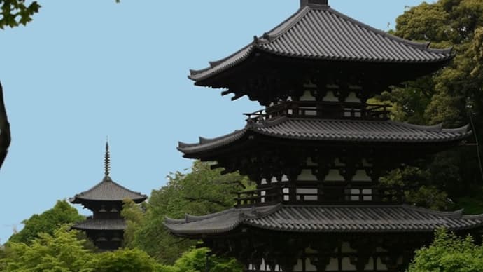 當麻寺・西南院 ~牡丹の咲くころ ②