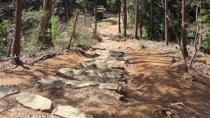 今年初の天覧山～・・・②