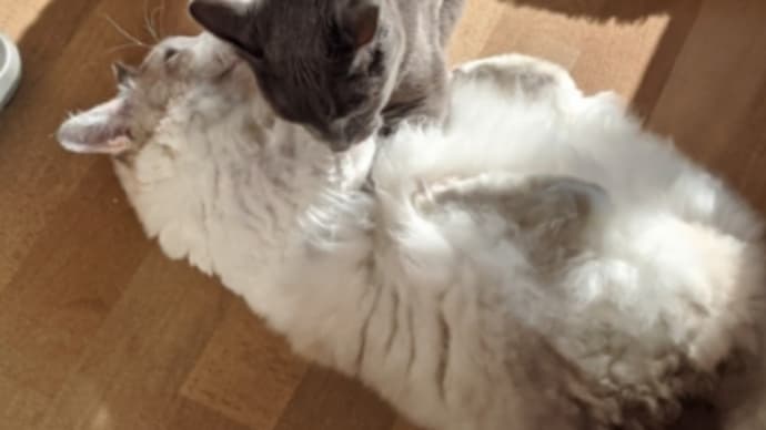 園長先生宅