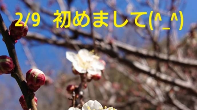 朝ン歩は公園へ~🎵ふたりの天使🎵