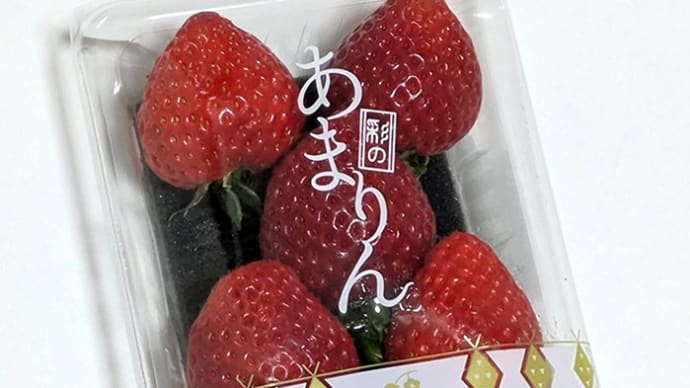 激レアもんを買うてきた