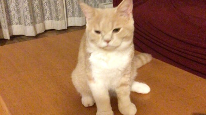 顔が小さくなったってꉂꉂ😁