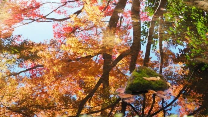 太田黒公園②