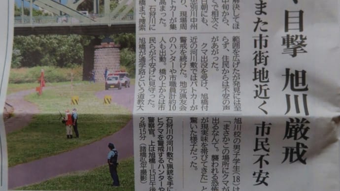 見慣れた景色の中に熊出現\(◎o◎)/!