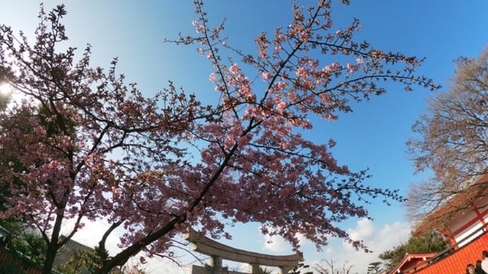 芸の神