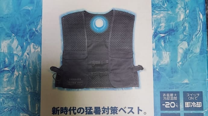 これからどうやって過ごていこうか……。