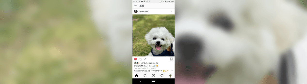 5月3日 午後一時くらいのチャンミンのインスタグラム All About My Things 5月3日 午後一時くらいのチャンミンのインスタグラム All About My Things