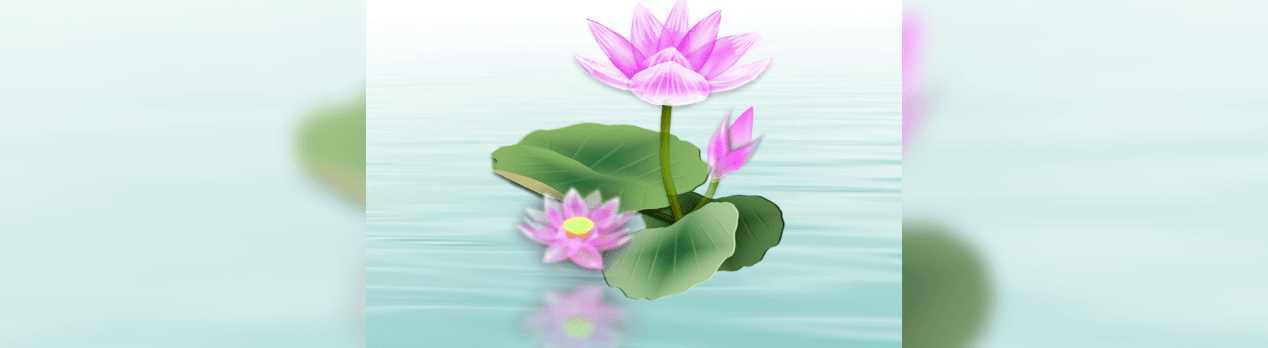 蓮の花アレンジ集 母恵夢 ポエム 工房