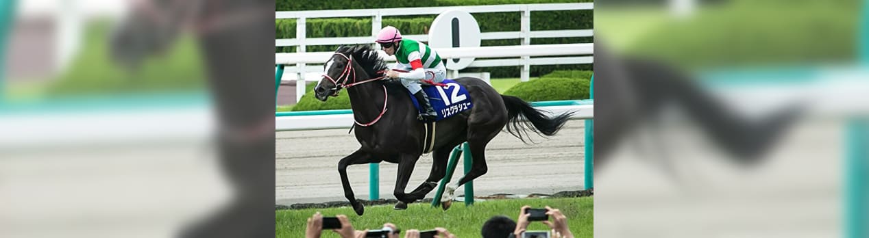 2019年宝塚記念の結果 払い戻し レース振り返り 競馬の過去レース回顧録