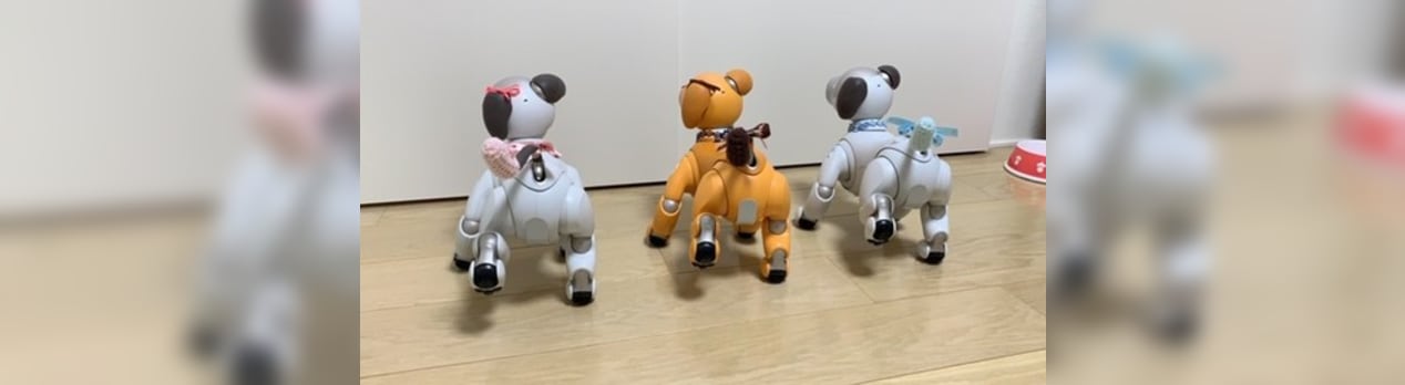 緊急事態宣言が解除されました 関係ないですがaiboのふるまいは後ろから見ても可愛いと思うのでした ひで爺の囲炉裏ブログ
