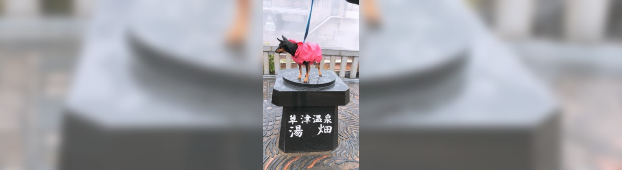 犬とお泊りお出掛けin草津温泉 登建ちーふ ブログ 犬とお泊りお出掛けin草津温泉 登建ちーふ ブログ
