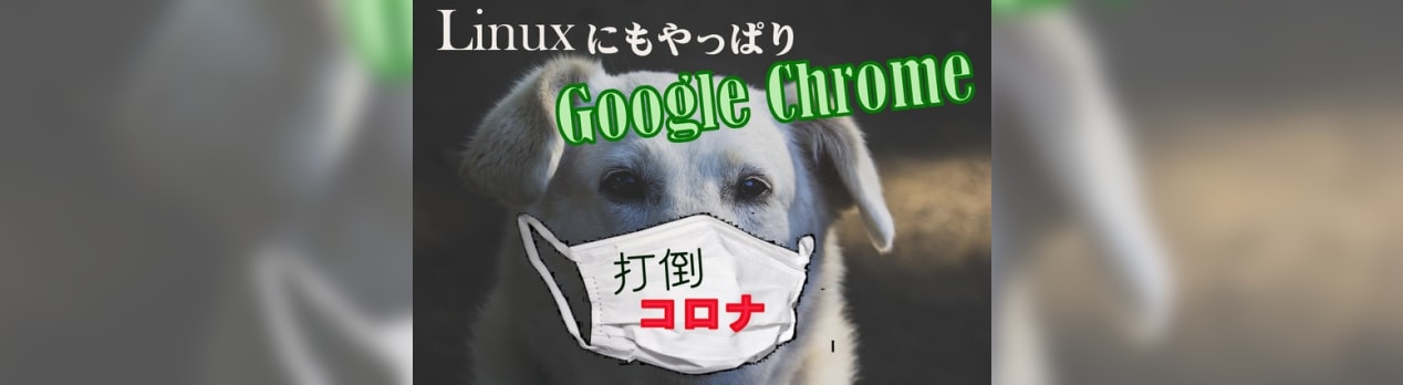 goo ブログ