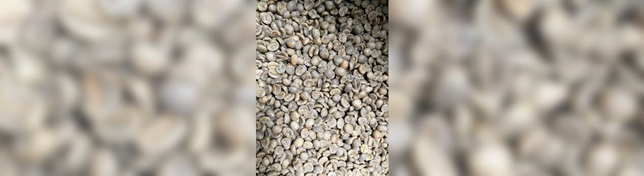 ブラジル セラード ファーストクロップ 新豆 が限定数量で入荷しています Nabe語録 スペシャルティコーヒー専門ショップ サーカスコーヒー ブラジル セラード ファーストクロップ 新豆 が限定数量で入荷しています Nabe語録 スペシャルティコーヒー専門ショップ サーカスコーヒー
