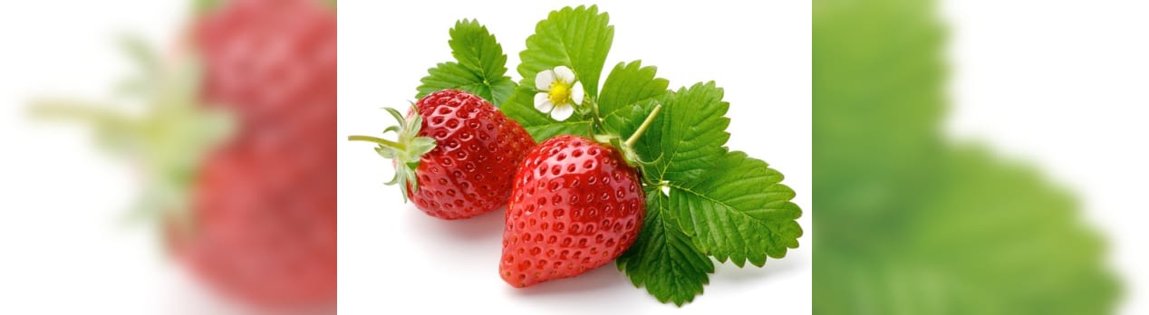 Strawberries In Summer 夏のイチゴ 英語なんて怖くない ダリちゃんの居酒屋英語教室