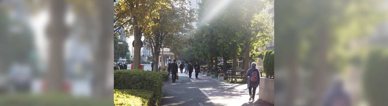 ２０２０年１０月８日 木 告示１０月２５日 日 投票で 広島選挙区で補欠選挙が行われる公算が高まる 河井案里自民党参議院議員の百日裁判 ニュースサイト 宮崎信行の国会傍聴記