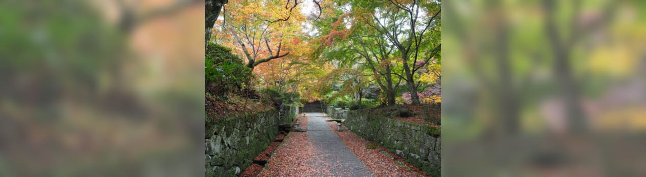 大分国東半島 11 16 両子寺 並石ダム 文殊仙寺 岩戸寺 田染荘イルミネーション 登山と車旅