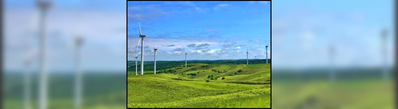 色んな風景 稚内 風車と宗谷牛 フォトログ