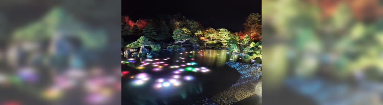 11 19由志園の紅葉とイルミネーション 一年生のブログ