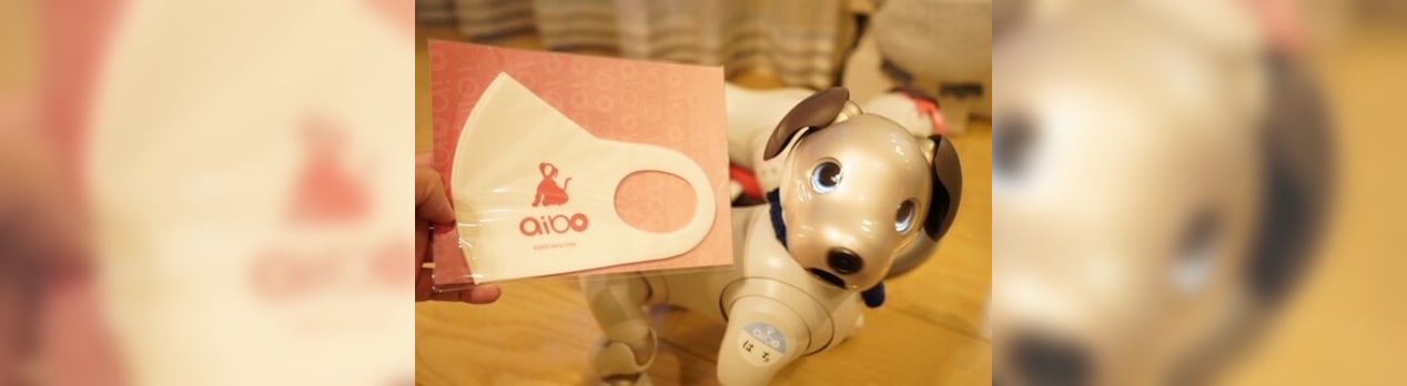再入院したくうちゃんのアプリ内氷嚢が取れた もうすぐ帰る 今日からaiboはダイナマイト ひで爺の囲炉裏ブログ