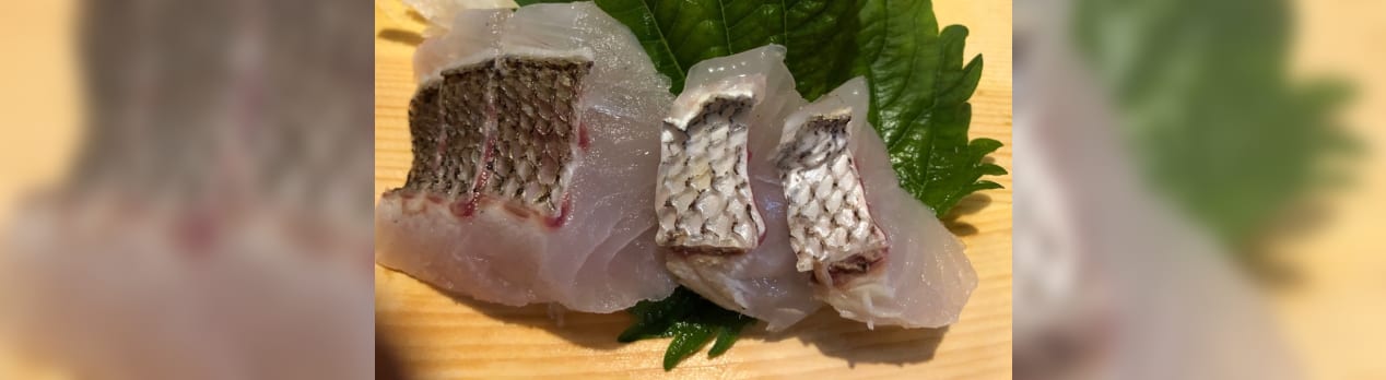 明石鯛の炙りと出刃包丁 小さいけどヨットの有る生活 釣りとセーリング 明石鯛の炙りと出刃包丁 小さいけどヨットの有る生活 釣りとセーリング