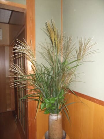 背伸びして すすきは月を 待っており まほろば自然博物館