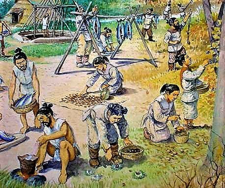 日本の旧石器時代、縄文時代、弥生時代の人々の生活」 - 後藤 日本の旧石器時代、縄文時代、弥生時代の人々の生活」 - 後藤