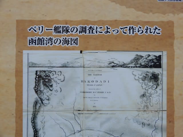 Amazon.co.jp: ペリー艦隊制作 函館港地図 海図 1864年
