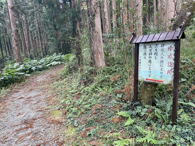 手造の旅》屋久島～宮之浦里めぐり、杉乃舎で屋久杉箸づくり