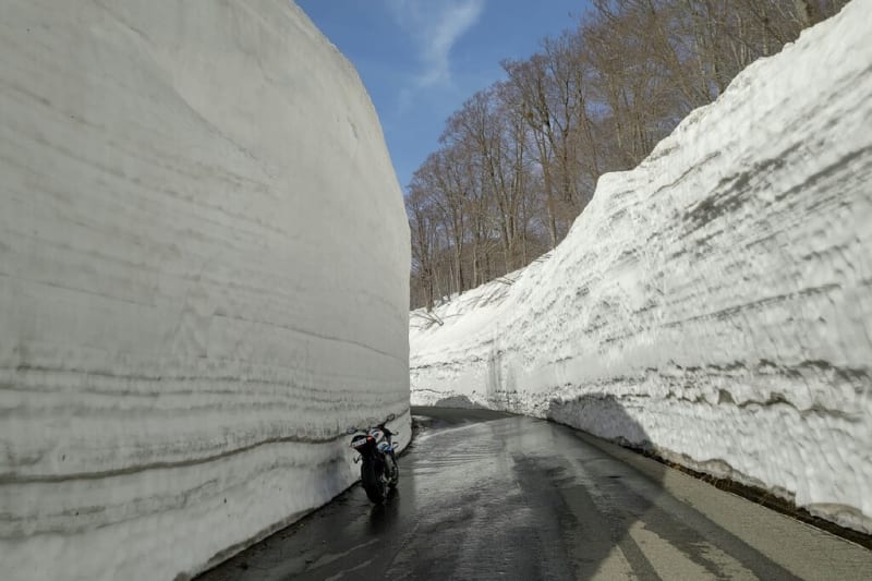 月山志津線の雪壁へ2022（本編） - ぐうじののほほん