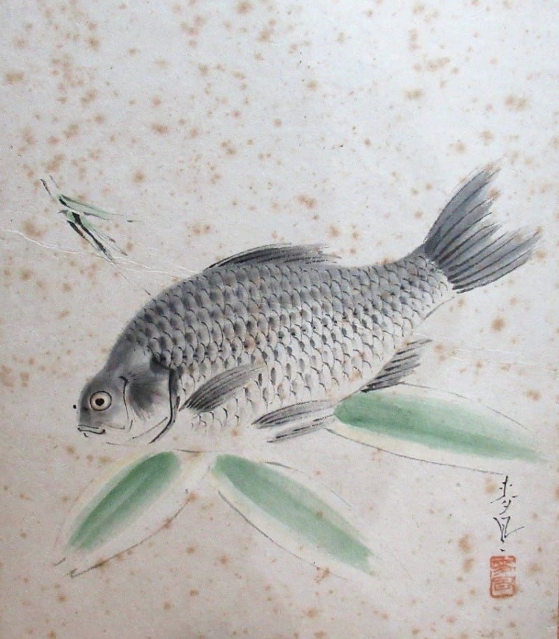大日本魚類画集 NO59 メバル図 大野麥風画 - 夜噺骨董談義 大日本魚類画集 NO59 メバル図 大野麥風画 - 夜噺骨董談義