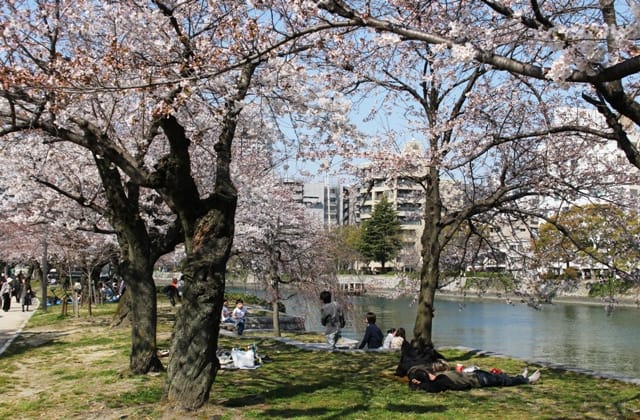 桜咲く平和記念公園を訪ねる 修行僧が行く