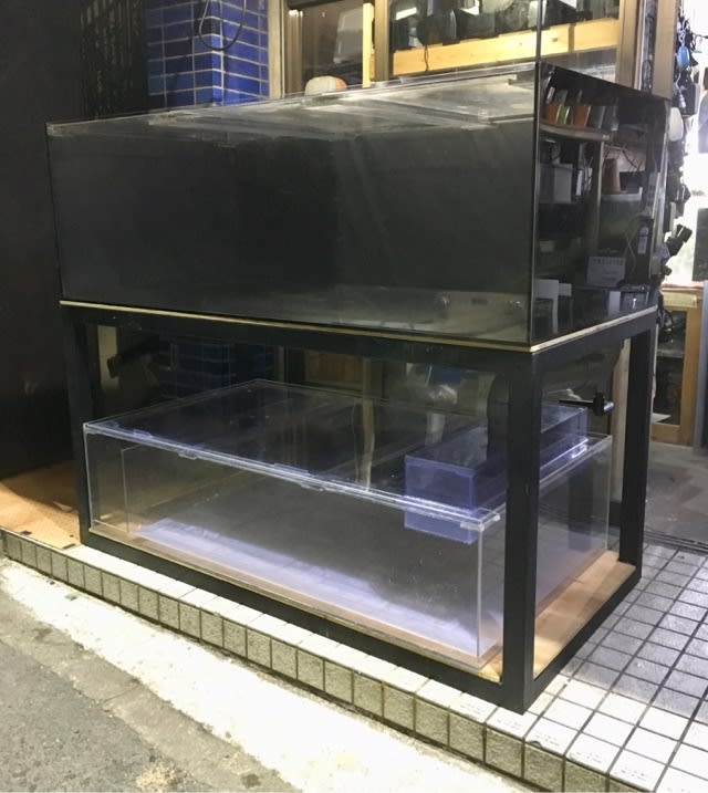 W1800オーバーフロー水槽セット アクリル水槽、オーバーフロー