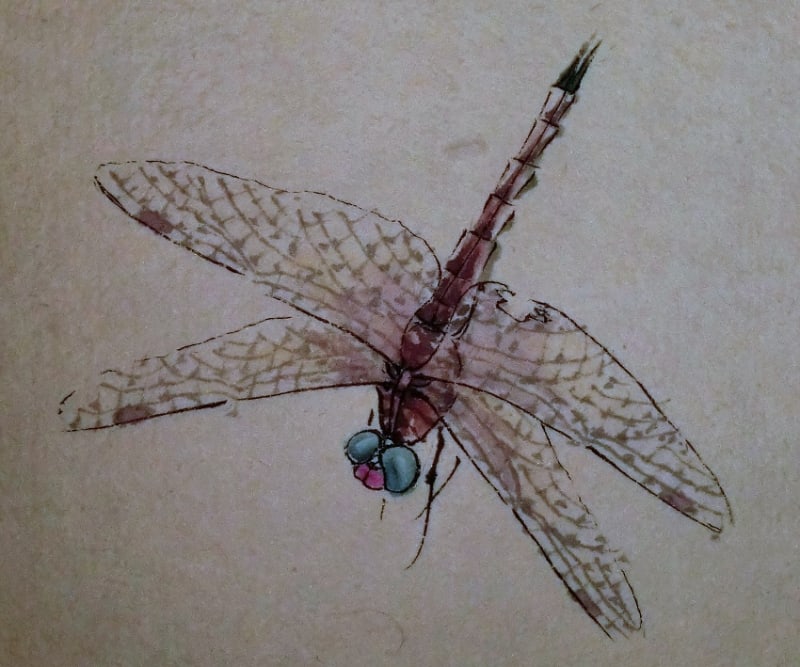 贋作考 氏素性の解らぬ作品 貝葉草虫図 伝斉白石筆 - 夜噺骨董談義 贋作考 氏素性の解らぬ作品 貝葉草虫図 伝斉白石筆 - 夜噺骨董談義
