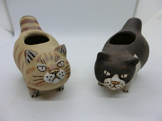 かとうゆみ さんの猫ちゃんたち（せっせっせーのよいよいよい