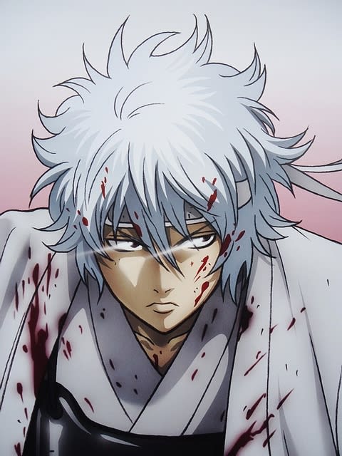 劇場版 銀魂 「白夜叉降誕」 パンフレット | まんだらけ Mandarake