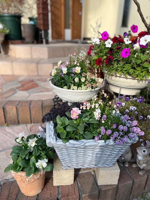寄せ植えの鉢を考える〜鉢って大切〜グラスファイバー鉢 - 雑木 寄せ植えの鉢を考える〜鉢って大切〜グラスファイバー鉢 - 雑木