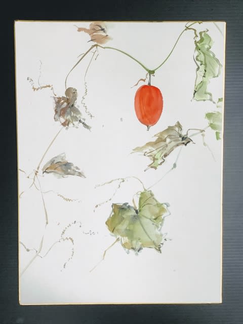 墨彩画で描く 「烏瓜 カラスウリ」スケッチ1 - 水墨画・墨彩画家