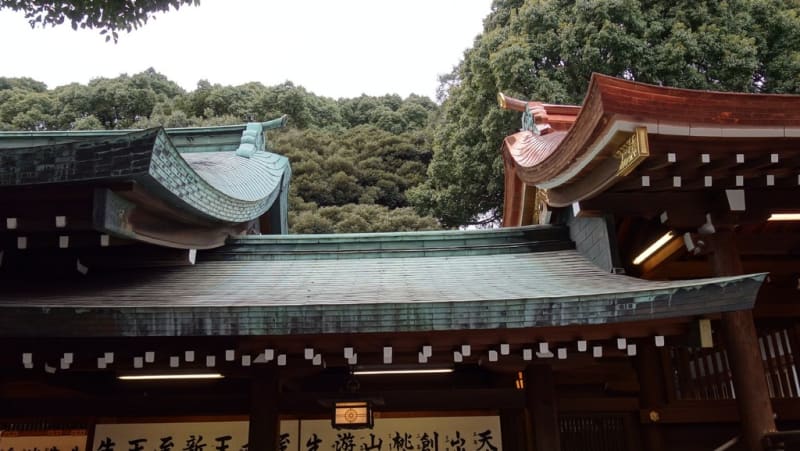 烏山寺町で経の巻採取 - ありゃりゃサンポ