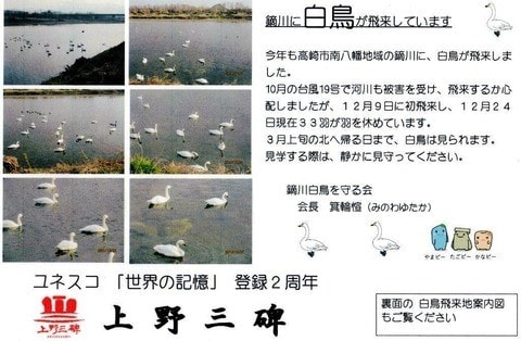 鏑川の白鳥に会いに行って 美しい姿にうっとりしてきたのですが 実は大チョンボでして 猫のキキとヒゲおじさんのあんじゃあない毎日