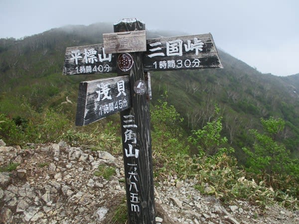 花咲く稜線から大源太山 山の花に会いに行く