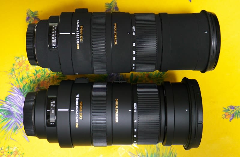新しいレンズ シグマ50-500購入 - 気まぐれ 花☆旅日記 新しいレンズ シグマ50-500購入 - 気まぐれ 花☆旅日記