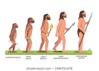 石器時代 STONE AGE【海外版／日本語訳付き】 - その他