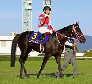 3冠馬　コントレイル&デアリングタクト ジャパンC】コントレイルVSデアリングタクト！史上初の無敗三