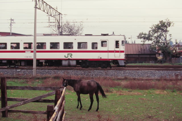 東北本線50系 終焉を迎える盛岡以南の普通客車 1994-11-06 東北本線50系 終焉を迎える盛岡以南の普通客車 1994-11-06